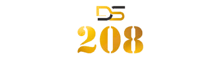 DS 208